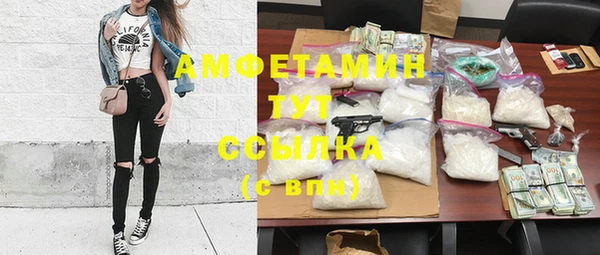 гашик Няндома
