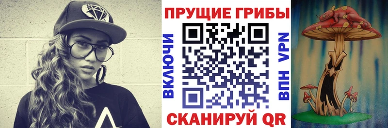 Псилоцибиновые грибы прущие грибы как найти закладки Миньяр