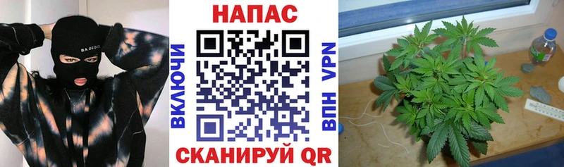 Бошки марихуана MAZAR  Миньяр 